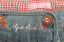 GIRL'S LOVE EMBROIDERY SHORT|MARKHOR-(5-14)YRS