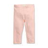 GIRL'S JERSEY LEGGING | H.M-(18M-10Y)